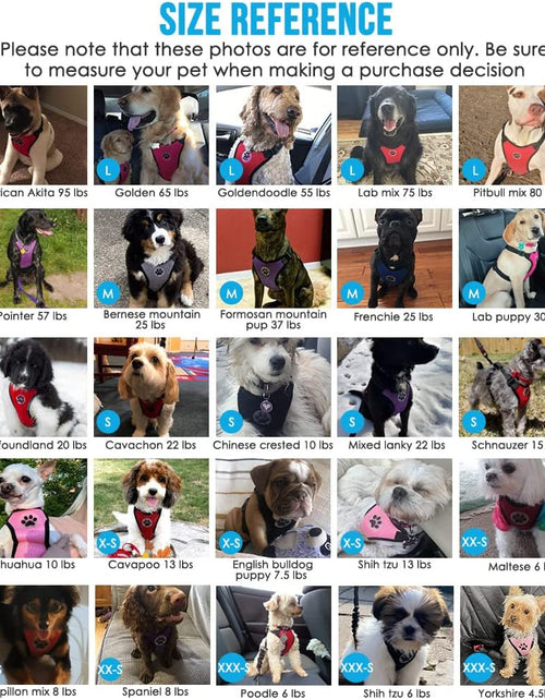 Load image into Gallery viewer, Dog Seat Belt for Car, Adjustable Dog Car Harness for Large Medium Small Dogs, Soft Padded &amp; Breathable Mesh Dog Seatbelt with Car Strap and Carabiner (Blue,M)
