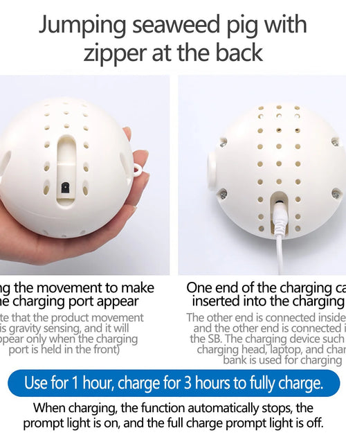 Load image into Gallery viewer, Dog Toy,Interactive Dog Toy Ball,Bouncing Rabbit Interactive Electronic Pet Plush Pet Toy with Sound,Dog Squeaky Toys for Aggressive Chewing,60 Song Music Durable Dog Squeaker, Durable Interactive Toy
