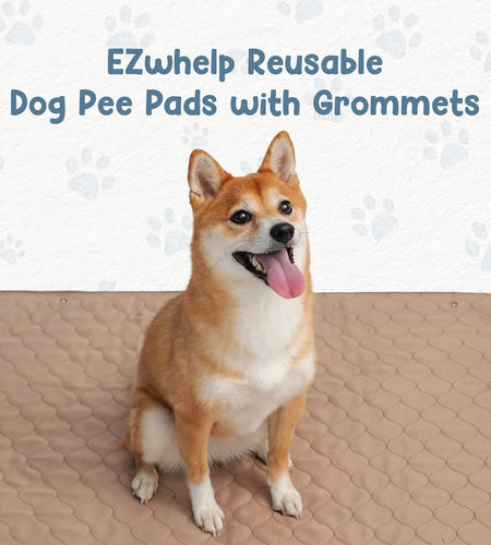 Pee Pads for Dogs - Dog & Puppy Training Pads - Rounded Corners - Washable, Reusable - Laminated, Waterproof, Sanitary Potty Protector Dog Mat - Pet Essentials