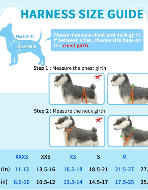 Load image into Gallery viewer, Dog Seat Belt for Car, Adjustable Dog Car Harness for Large Medium Small Dogs, Soft Padded &amp; Breathable Mesh Dog Seatbelt with Car Strap and Carabiner (Blue,M)
