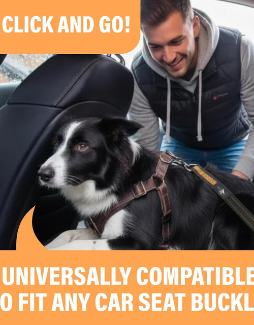 Load image into Gallery viewer, Orange Car Seat Belt for Dogs, Attaches to Harness &amp; Collar, Adjustable 18" - 24" Travel Restraint System Fits Small - Large Pups for Safety &amp; Comfort, Essential Pet Supplies &amp; Accessories
